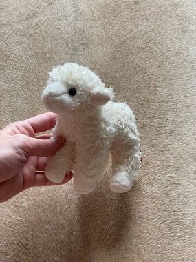 Little White Lamb Plush